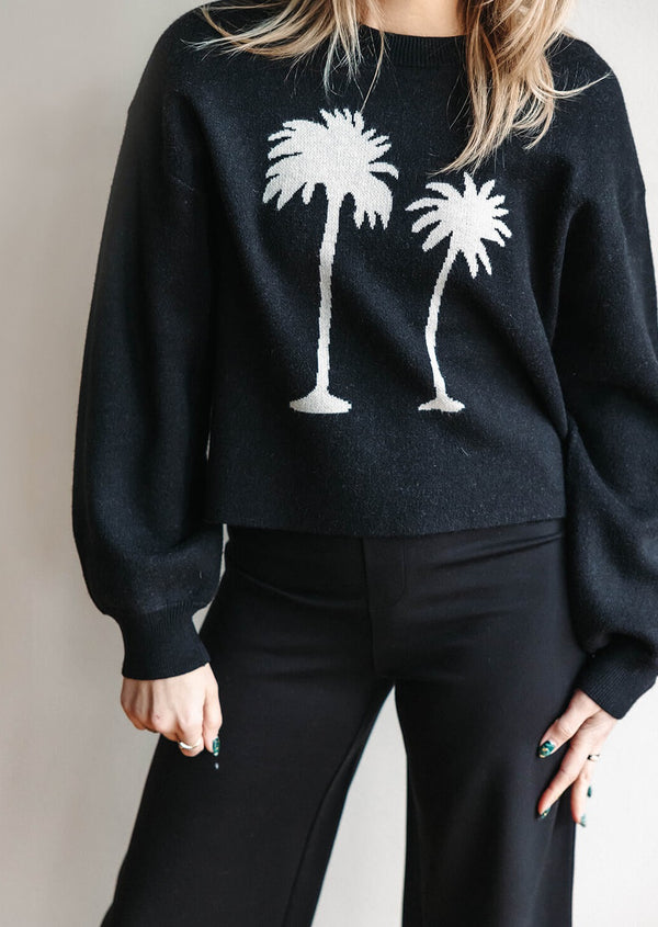 arlo-z-supply-in-the-palms-sweater