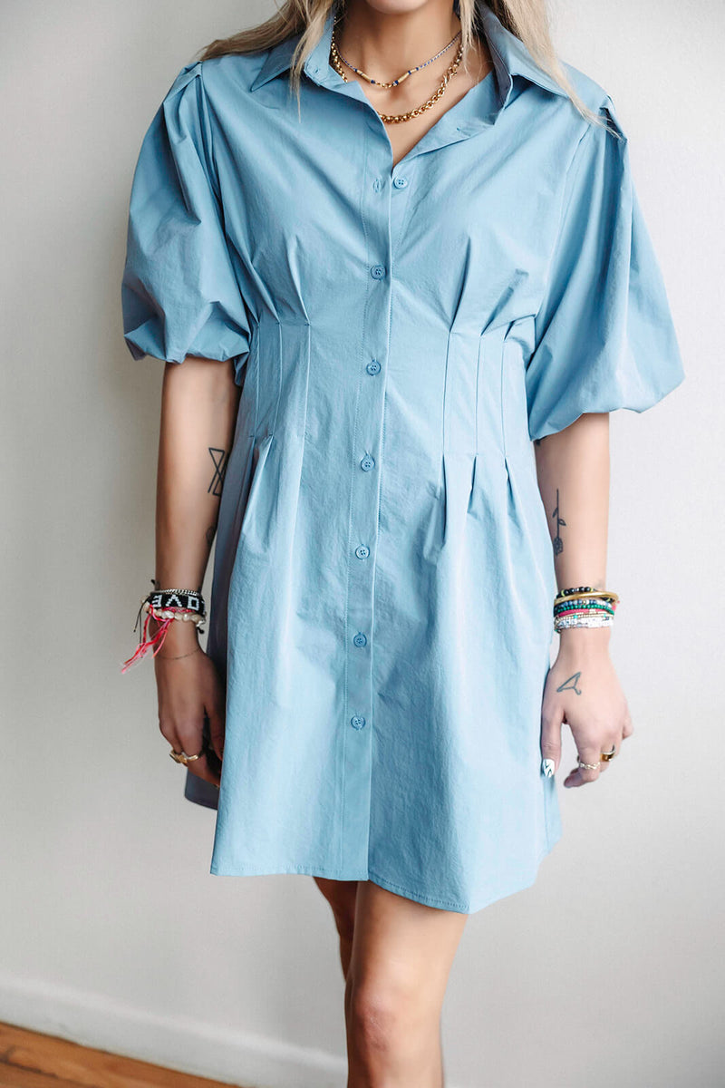 arlo-bishop-and-young-jacqueline-bubble-sleeve-dress